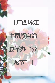 广西环江毛南族自治县举办“分龙节”