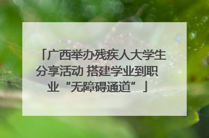 广西举办残疾人大学生分享活动 搭建学业到职业“无障碍通道”