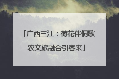 广西三江：荷花伴侗歌 农文旅融合引客来
