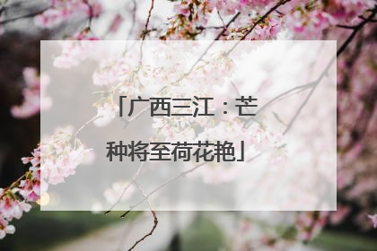 广西三江：芒种将至荷花艳