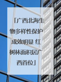 广西北海生物多样性保护成效明显 红树林面积居广西首位