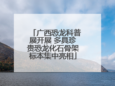广西恐龙科普展开展 多具珍贵恐龙化石骨架标本集中亮相