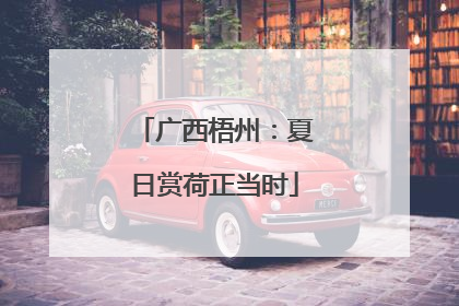广西梧州：夏日赏荷正当时