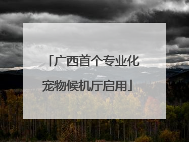 广西首个专业化宠物候机厅启用