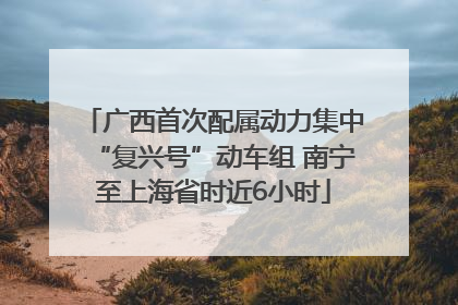 广西首次配属动力集中“复兴号”动车组 南宁至上海省时近6小时