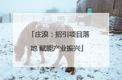庄浪：招引项目落地 赋能产业振兴