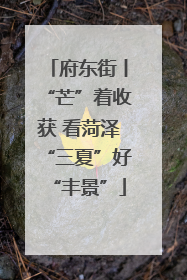 府东街丨“芒”着收获 看菏泽“三夏”好“丰景”