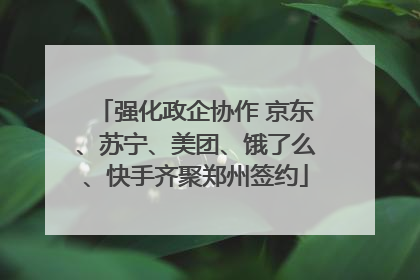 强化政企协作 京东、苏宁、美团、饿了么、快手齐聚郑州签约