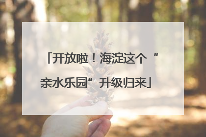 开放啦！海淀这个“亲水乐园”升级归来