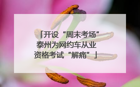 开设“周末考场” 泰州为网约车从业资格考试“解痛”