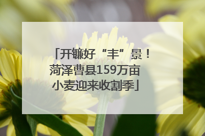 开镰好“丰”景！菏泽曹县159万亩小麦迎来收割季