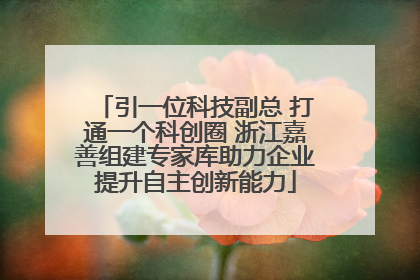 引一位科技副总 打通一个科创圈 浙江嘉善组建专家库助力企业提升自主创新能力