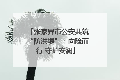 张家界市公安共筑“防洪堤”：向险而行 守护安澜