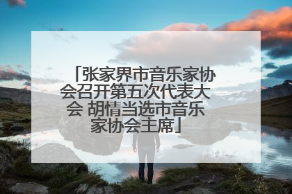 张家界市音乐家协会召开第五次代表大会 胡情当选市音乐家协会主席