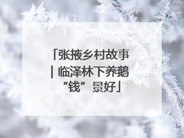 张掖乡村故事｜临泽林下养鹅“钱”景好