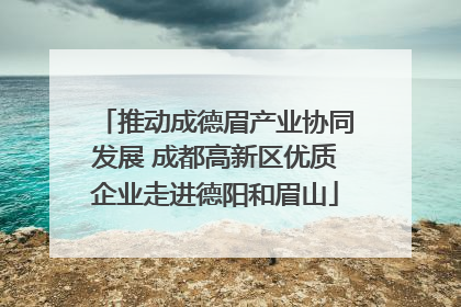 推动成德眉产业协同发展 成都高新区优质企业走进德阳和眉山