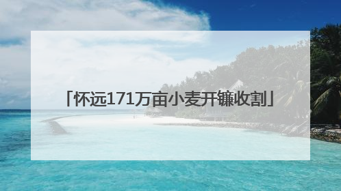 怀远171万亩小麦开镰收割