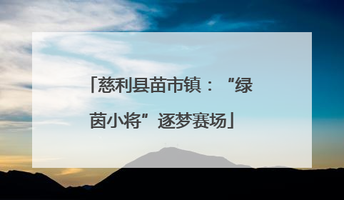慈利县苗市镇：“绿茵小将”逐梦赛场