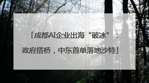 成都AI企业出海“破冰”：政府搭桥，中东首单落地沙特
