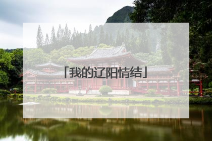 我的辽阳情结