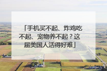 手机买不起、炸鸡吃不起、宠物养不起？这届美国人活得好难