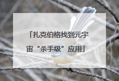 扎克伯格找到元宇宙“杀手级”应用