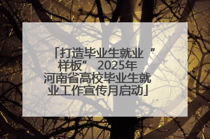 打造毕业生就业“样板” 2025年河南省高校毕业生就业工作宣传月启动