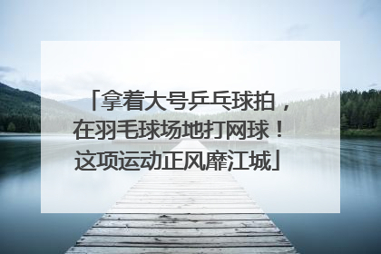 拿着大号乒乓球拍，在羽毛球场地打网球！这项运动正风靡江城