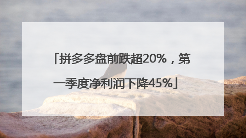 拼多多盘前跌超20%，第一季度净利润下降45%