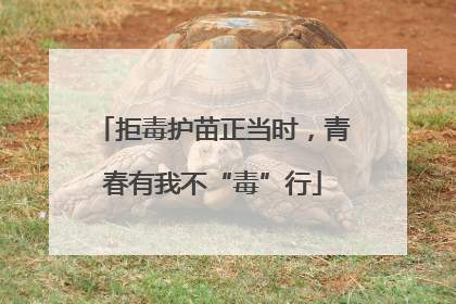 拒毒护苗正当时，青春有我不“毒”行