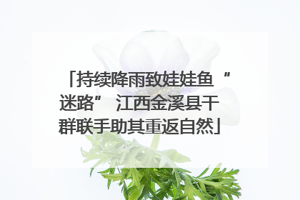持续降雨致娃娃鱼“迷路” 江西金溪县干群联手助其重返自然