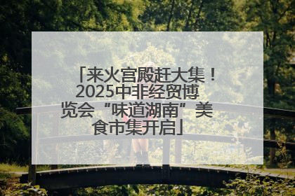 来火宫殿赶大集！2025中非经贸博览会“味道湖南”美食市集开启