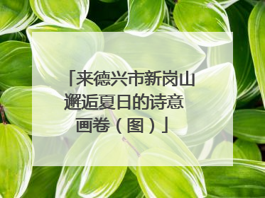 来德兴市新岗山 邂逅夏日的诗意画卷（图）