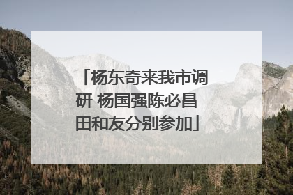 杨东奇来我市调研 杨国强陈必昌田和友分别参加