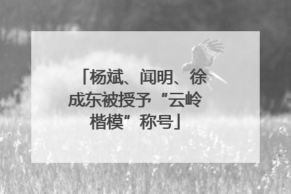 杨斌、闻明、徐成东被授予“云岭楷模”称号