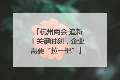 杭州两会·追新丨关键时刻，企业需要“拉一把”