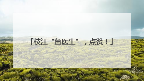枝江“鱼医生”，点赞！