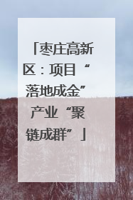 枣庄高新区：项目“落地成金” 产业“聚链成群”