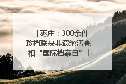 枣庄：300余件珍档联袂非遗绝活亮相“国际档案日”