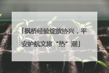 枫桥经验绽放协兴，平安护航文旅“热”潮