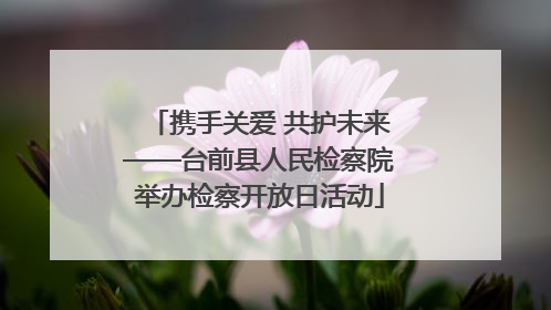 携手关爱 共护未来——台前县人民检察院举办检察开放日活动