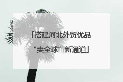 搭建河北外贸优品“卖全球”新通道
