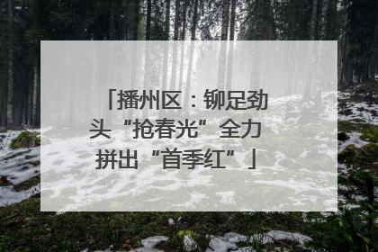 播州区：铆足劲头“抢春光”全力拼出“首季红”