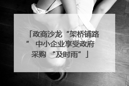 政商沙龙“架桥铺路” 中小企业享受政府采购 “及时雨”