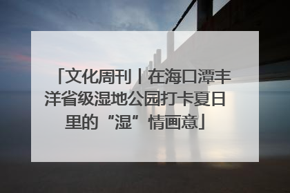 文化周刊丨在海口潭丰洋省级湿地公园打卡夏日里的“湿”情画意