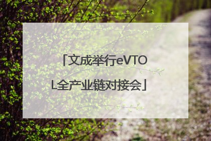 文成举行eVTOL全产业链对接会