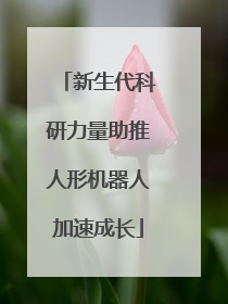 新生代科研力量助推人形机器人加速成长