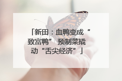 新田：血鸭变成“致富鸭” 预制菜撬动“舌尖经济”
