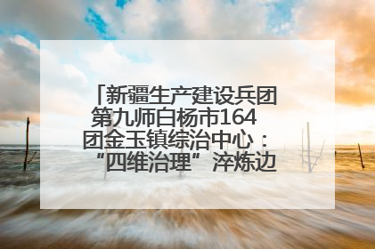 新疆生产建设兵团第九师白杨市164团金玉镇综治中心：“四维治理”淬炼边疆“枫桥样本”