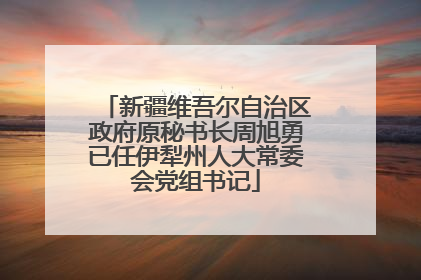 新疆维吾尔自治区政府原秘书长周旭勇已任伊犁州人大常委会党组书记
